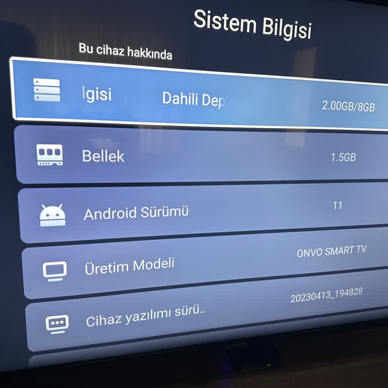 Onvo TV'de Netflix Uygulamasının Çalışmaması Sorunu