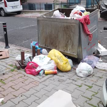 Evimizin Önündeki Çöp Konteynerinin Kaldırılmasını İstiyoruz