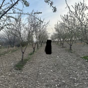 Badem Poliçemde Yanlış Kilo Raporu Ve İtirazda Yaşanan Mağduriyet