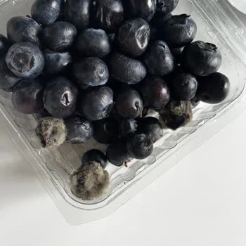 Migros Küflü Yaban Mersini Teslimatı Ve İade Sürecinde İletişim Sorunu