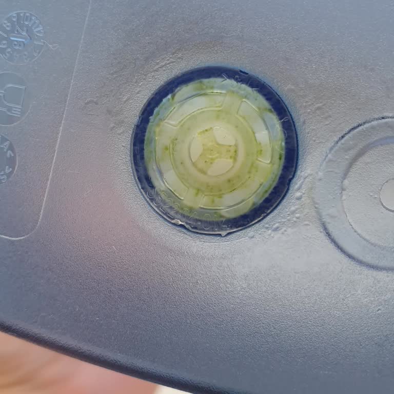 Brita Sürahide Tekrarlayan Yosunlanma Sorunu Çözülmüyor