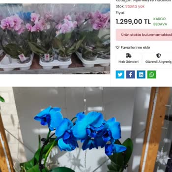 Türkoğlu Fidancılık Bayram Öncesi Siparişimde Geç Teslimat Ve Yanlış Ürün Gönderimi