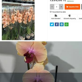 Türkoğlu Fidancılık Bayram Öncesi Siparişimde Geç Teslimat Ve Yanlış Ürün Gönderimi