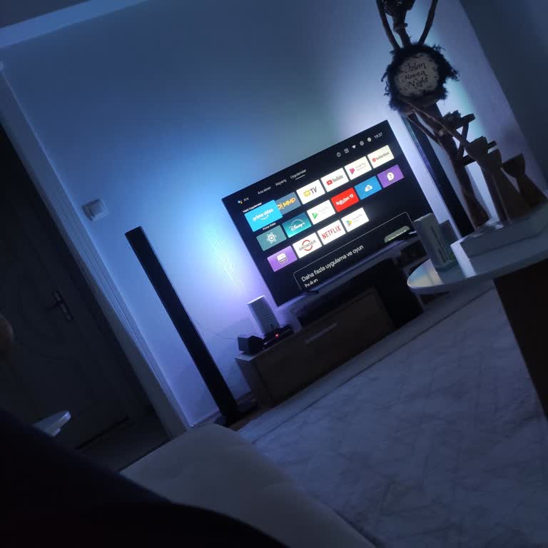 Philips TV'de Ekran Yansıtma Sorunu Ve Destek Eksikliği