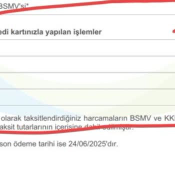 Temu'dan İptal Edilen Siparişimin İadesi Yapılmadı, Mağdurum
