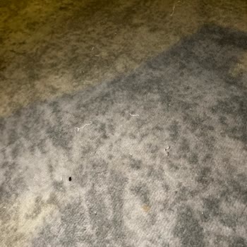 Otel Temizliğinde Büyük Hayal Kırıklığı Ve Yetersiz Hizmet