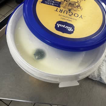 Aldığım Yoğurt Küflü Çıktı, Son Tüketim Tarihi Saklanmış