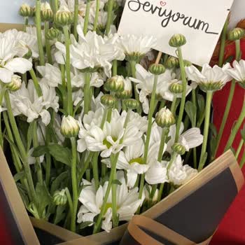 Beklediğim Papatya Buketi Yerine Saplar Geldi