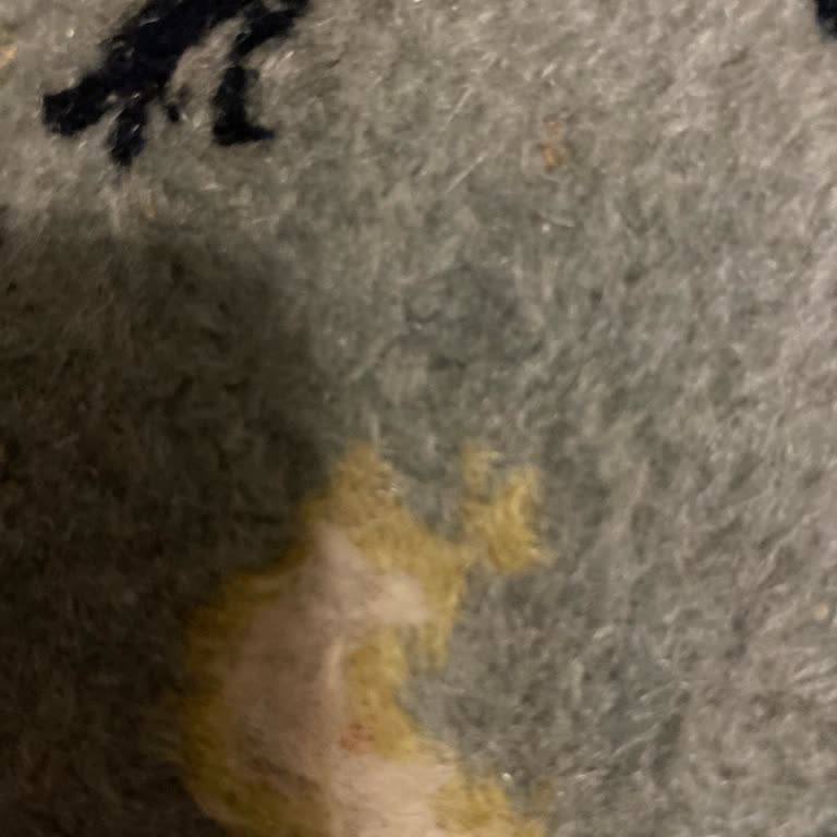 Ziraat Bankası Kredi Kartı Limit Artışı Talebim Cevapsız Kalıyor