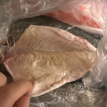 Hamile Olduğum Halde Bayat Balık Satıldı!