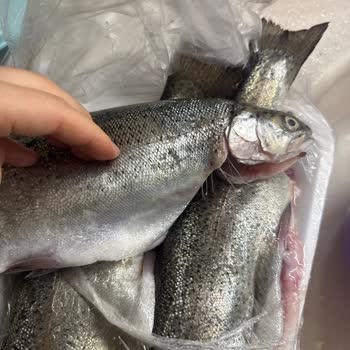 Hamile Olduğum Halde Bayat Balık Satıldı!