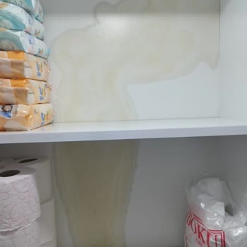 Rose_mimarlık Yaptığı İşin Arkasında Durmuyor