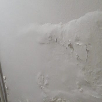 Rose_mimarlık Yaptığı İşin Arkasında Durmuyor