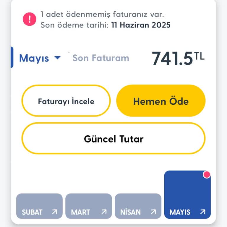 Yurt Dışından Dönüşte Bilgilendirme Yapılmadan 300 TL'lik Paket Ücreti Yansıtıldı