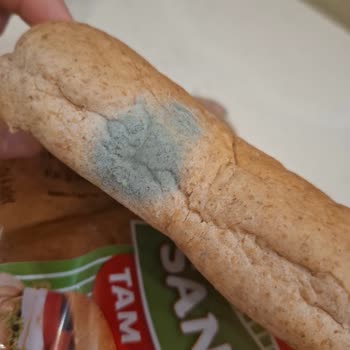 Son Kullanma Tarihi Geçmiş Ve Küflü Ürün Satışı Mağduriyeti