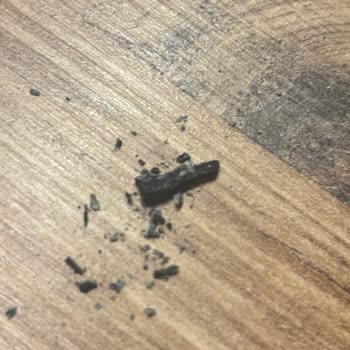 Marlboro Edge Sigara Kalitesizliği: İçinden Yabancı Maddeler Çıkıyor!