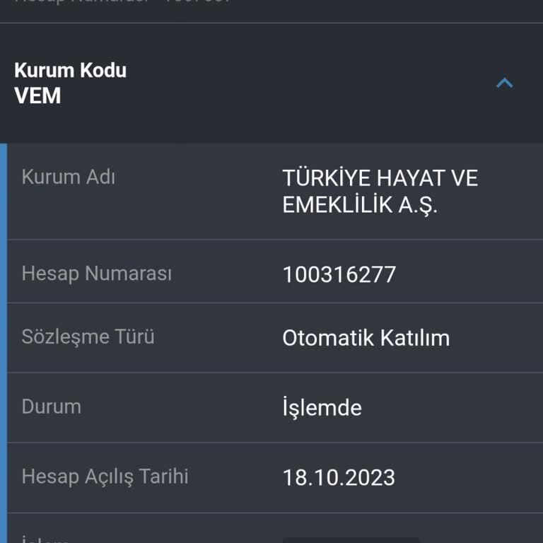 BES İptali Yapılamıyor, İletişim Eksikliği Ve Para Kesintisi Sorunu
