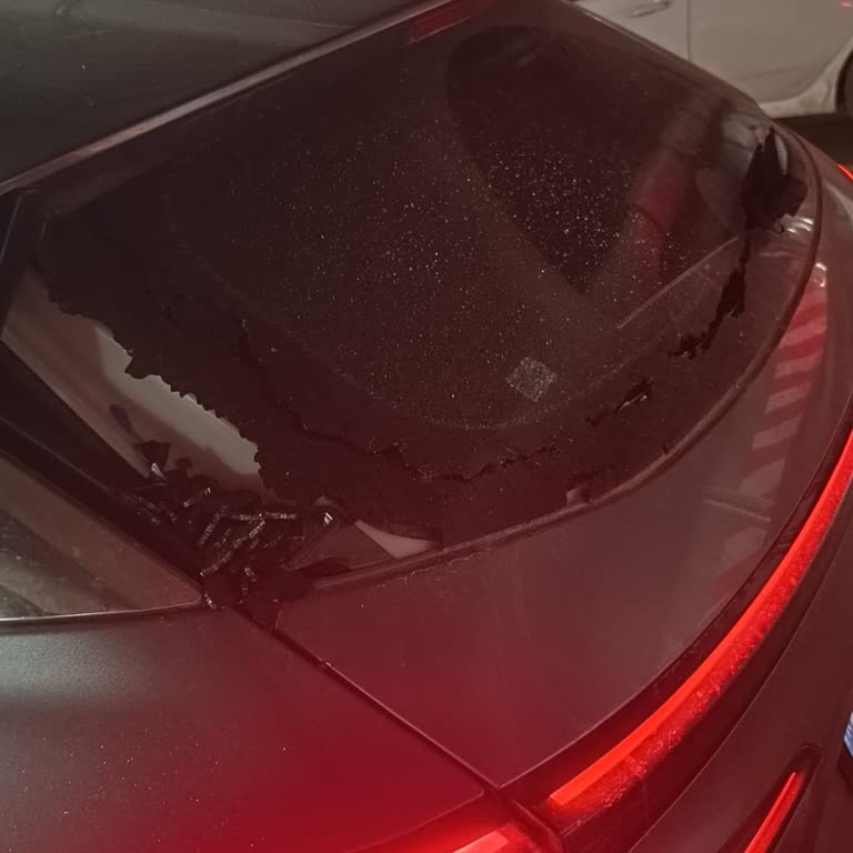 Renault Austral Cam Değişimi İçin Haftalardır Bekliyoruz Bilgi Verilmiyor