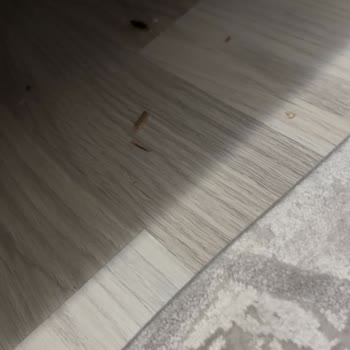 Philips Let Me Down With Their Robot Vacuum and Poor Warranty Support