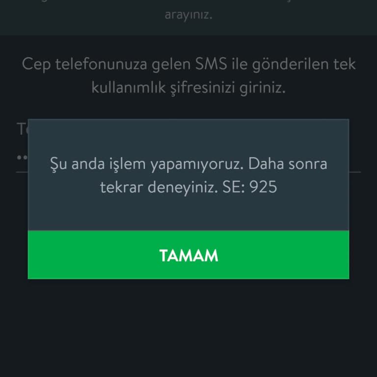 Uygulamaya Ve İnternet Sitesine Giriş Sorunu, Kredi Ödemeleri Aksıyor