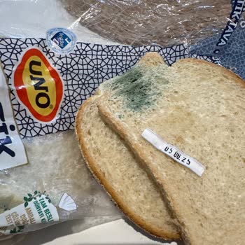 UNO Ekmek Taze Değil, Güven Sarsıldı