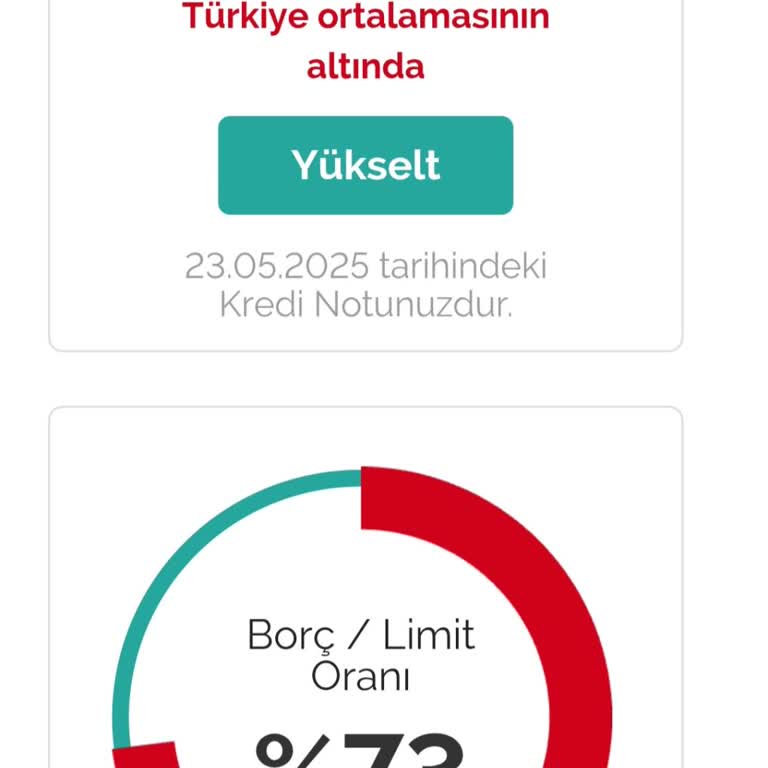 Düzenli Ödememe Rağmen Kredi Puanım Artmıyor