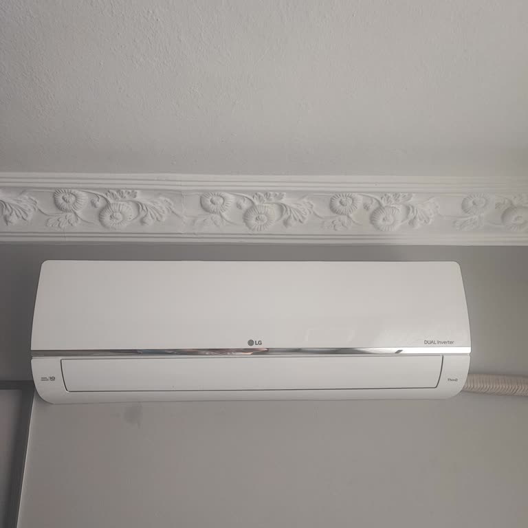 Teknik Servis İlgisizliği Ve Arızalı Klima Mağduriyeti