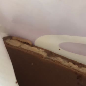 Çikolatada Kurt Çıkması Ve İlgisizlik