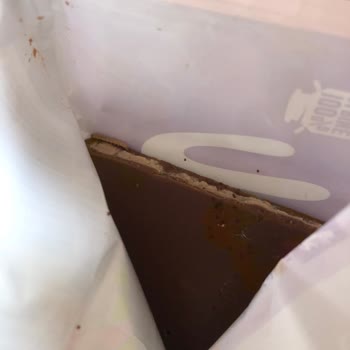 Çikolatada Kurt Çıkması Ve İlgisizlik