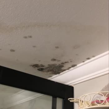 Bereket Sigorta'nın Hasar Dosyası Reddiyle Yaşadığım Mağduriyet