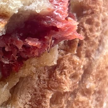 Torku Sucukta Kıl Çıkması Şikayeti Ve Yardım Talebi