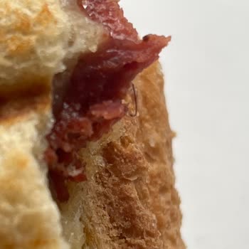 Torku Sucukta Kıl Çıkması Şikayeti Ve Yardım Talebi