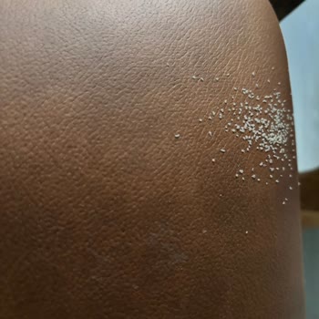 Alkan Mobilya (İstanbul) Koltukta Sorun Yaşadık!