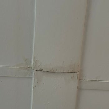 İkizler Prefabrik İşini Düzgün Yapmıyor