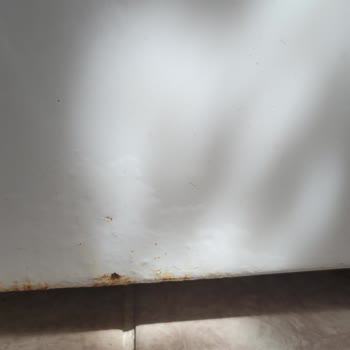 Bosch Çamaşır Makinesi Kapağından Su Sızdırıyor Servis Çözüm Sunmuyor