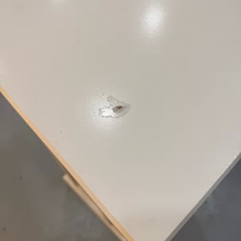 Teşhir Ürünü Gönderdiler Muhatap Yok Teslimat Gecikti