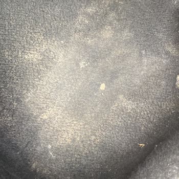 Mevlana Halı Yıkama (Kahramanmaraş) Mağduriyet Yaşama