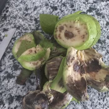 Aldığım Avokadoların İçinin Çürük Çıkması Mağduriyet Yarattı