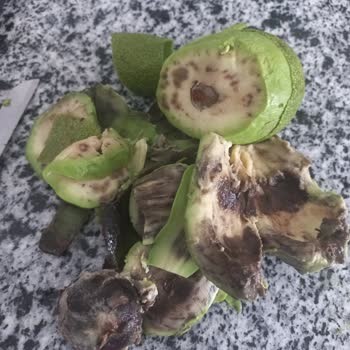 Aldığım Avokadoların İçinin Çürük Çıkması Mağduriyet Yarattı