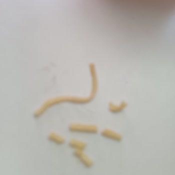 Noodle'ın Kalın Makarna Yapısı Lezzetini Olumsuz Etkiledi