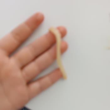 Noodle'ın Kalın Makarna Yapısı Lezzetini Olumsuz Etkiledi