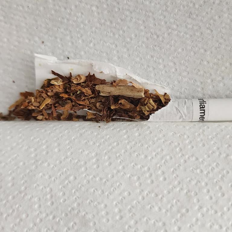 Parliament Midnight Blue Sigaralarda Kalite Sorunu Ve Odun Parçaları