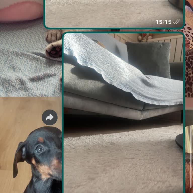 Koltuk Sorunu Ve Müşteri Hizmetlerinde İlgisizlik