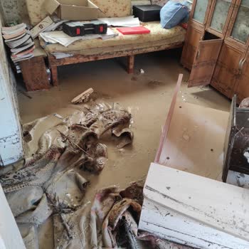 Sel Felaketinde Zarar Gören Kahve Makinesi İçin Philips'ten Destek Alamama Hayal Kırıklığı