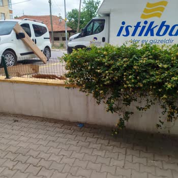 İstikbal Bayii Ambalaj Atıkları Çevreyi Kirletiyor, Yetkililerden Çözüm Bekliyoruz