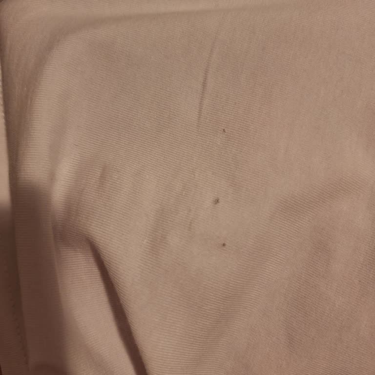 I Bought H&M 3-Pack T-Shirts and They Developed Holes After Just Two Wears
