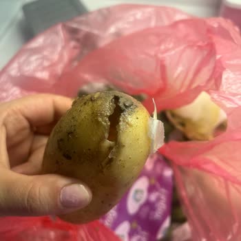 Migros Sanal Marketten Gelen Çürük Patates Ve Kötü Ürün Deneyimi