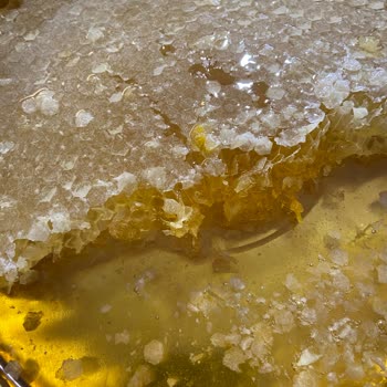 Balkovanım Aldığım Karakovan Petek Balı Beklentilerimi Karşılamadı, Görseller Ve Tat Uyuşmuyor!