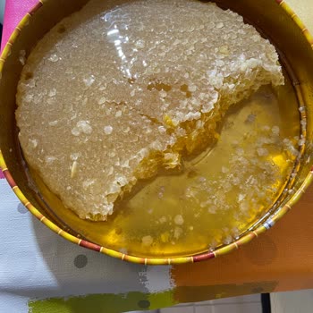 Balkovanım Aldığım Karakovan Petek Balı Beklentilerimi Karşılamadı, Görseller Ve Tat Uyuşmuyor!