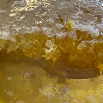 Balkovanım Aldığım Karakovan Petek Balı Beklentilerimi Karşılamadı, Görseller Ve Tat Uyuşmuyor!